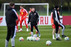 ‘There won’t be any regrets’: Bellamy steels Wales for last World Cup push