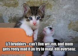 Funny Little Brother Quotes | little brother birthday quotes ... via Relatably.com