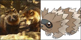 Resultado de imagem para tanuki pokemon