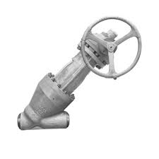 What is stop-check valve?