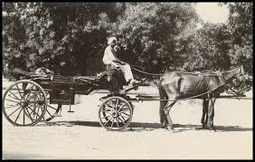 Image result for horse carriage of bombay 1900