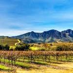 Western Cape farmers being drought