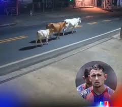 Joven Futbolista Muere Trágicamente: Impacto Fatal Contra una Vaca - Imagen principal del artículo