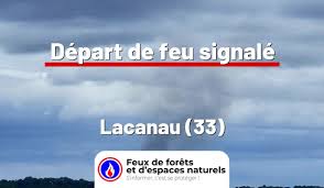 Feux de forêt - News update
