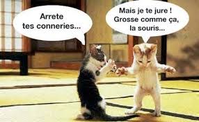 Histoires pour rire...ou pas...  - Page 16 Images?q=tbn:ANd9GcReUtLWeGkMniQ_SUUyegx8aYjkIUqJl9ko3gsGMhJNxV7drdcT7Q