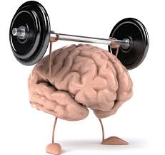 https://encrypted-tbn1.gstatic.com/images?q=tbn:ANd9GcReW0TCPx1L9UDMyiK0v7QJjssvfk1Fb3QTvJ0aI6mi4HEHp79f