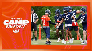 Chicago Bears - News update