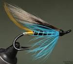 Blue Charm Fly of the Week - FAOL - Fly Anglers Online