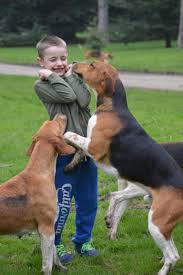 Event Photography – Baily's Hunting Directory