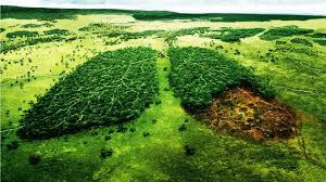 Resultado de imagen para el medio ambiente
