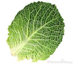 Resultado de imagen de imagenes col de hoja