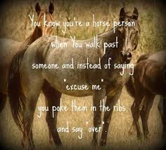 Horses Quotes - a horse is the best friend ever via Relatably.com