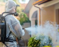 Image de professional pest control technician using specialized equipment in apartment