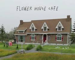 Image of flower house cafe, ลพบุรี