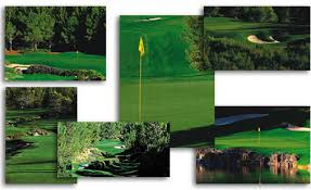 Image result for shadow creek golf