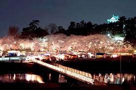 「岡崎公園花見画像」の画像検索結果