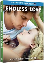 HollywoodChicago.com Hookup: 5 &#39;Endless Love&#39; Blu-ray Combo Packs With Alex Pettyfer, Gabriella Wilde - endlesslove_0