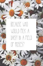 Finest 8 cool quotes about daisies photograph Hindi | WishesTrumpet via Relatably.com