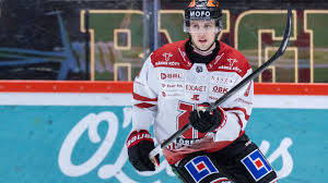 Uppgifter: SSK värvar SHL-back