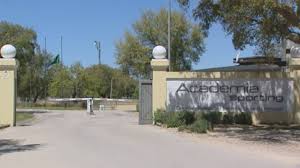 Jogadores do Sporting regressam a Alcochete para trabalho individualizado