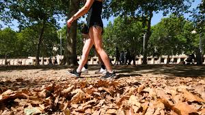 Does the September weather forecast suggest another UK heatwave? — BBC