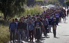 Αποτέλεσμα εικόνας για μεταναστες κω εικονα