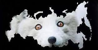 Цена на нефть марки Brent упала до $27,91 за баррель - Цензор.НЕТ 5156