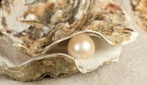 Image result for how pearls are made