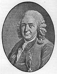 Image result for linnaeus