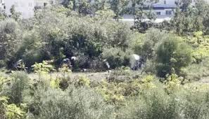 desalojo