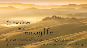 Slow down and enjoy life. It is not only the scenery you miss by ... via Relatably.com