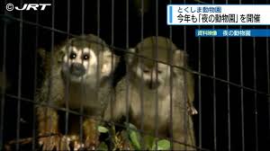 Yahoo!ニュース - News update