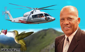 Resultado de imagem para dadá maravilha