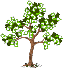 Image result for images of a money tree