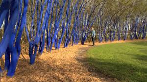 Résultat de recherche d'images pour "blue trees"