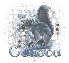 Résultat de recherche d'images pour "gifs gratuits coucou bisous oiseaux hiver"