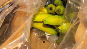 bananenkiste