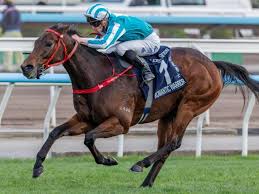 【QE2世C】歴代獲得賞金世界トップのロマンチックウォリアー フォーエバーヤングを突き放すG1・14勝目なるか（netkeiba）