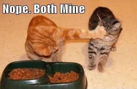 images?q=tbn:ANd9GcRfvfSFOIhBlodnG9j6-j13OfzRBGOvf3J86vpVO79_JGsOCZeOKQ