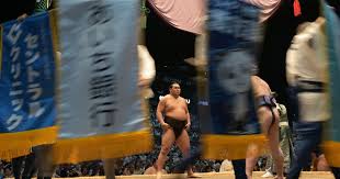 大相撲 結果 今日 幕内