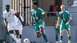 International Friendly LIVE: Northern Ireland vs Guinea - TV coverage, radio commentary, text updates & match stats