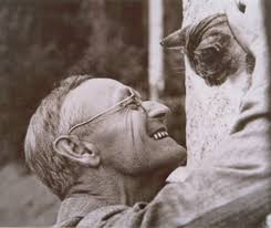 Resultado de imagen de hermann hesse