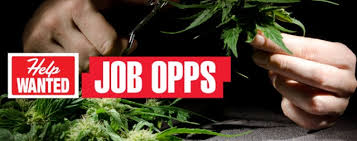 Resultado de imagen de Legalization