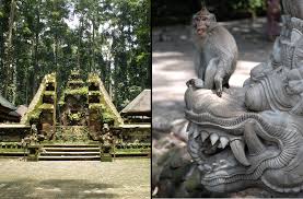 Hasil gambar untuk monkey forest bali