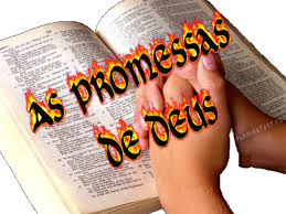 Imagem relacionada