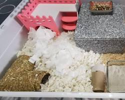 Various types of hamster bedding materials.の画像