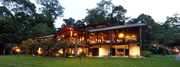 Image result for danum valley borneo