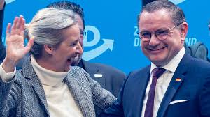 afd umfrage