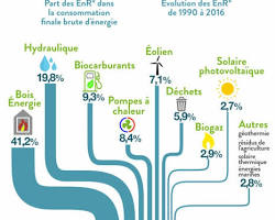 Image de Véhicule électrique et pollution atmosphérique