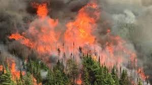 Radio-Canada - News update